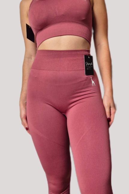 Balance Set - Terracotta (Top + Leggins)
